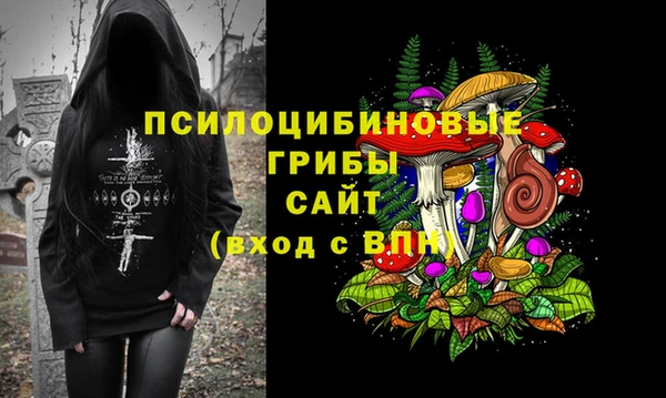 меф Дмитров