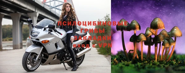 мдма Гусев