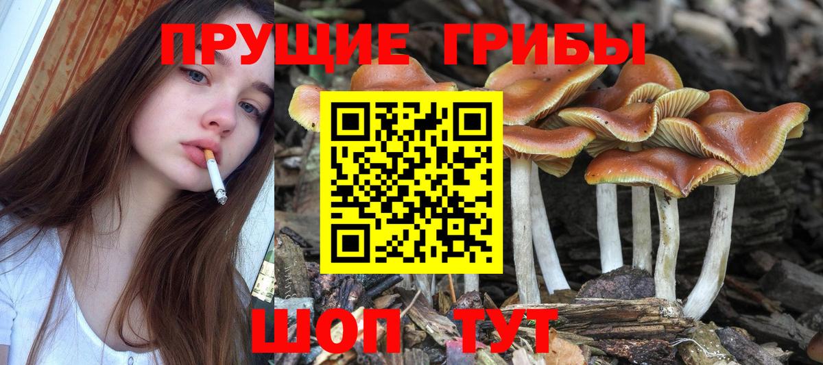 Галлюциногенные грибы мухоморы Ефремов